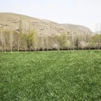 زمین-و-باغ-منابع-طبیعی-روستای-قورغان