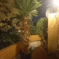 طراحی.اجرا.نگهداری گل و گیاه و درخت