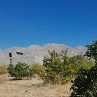 زمین تجاری در جنت شهر