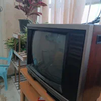تلویزیون به فروش میرسد