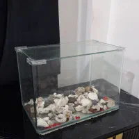 آکواریوم در حد نو|ماهی|بندرعباس, |دیوار