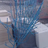 تولیدی شاخ گوزنی