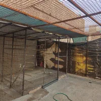 آهن آلات ،قوطی ورق تور شبکه ای برای گنجه