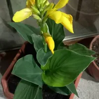 مسکونی رهن واجاره ۷۰متری همکف