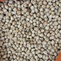 حبوبات عمده|خوردنی و آشامیدنی|تهران, بهمن یار|دیوار