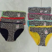 لباس زیر زنانه|لباس|بجنورد, |دیوار