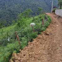 فروش-زمین-200-متری-در-شهرداری