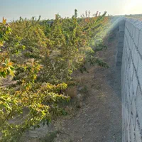 باغ ا ویلا شبستر|فروش خانه و ویلا|شبستر, |دیوار