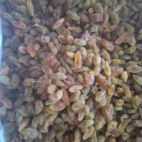 کشمش|خوردنی و آشامیدنی|تهران, ولنجک|دیوار