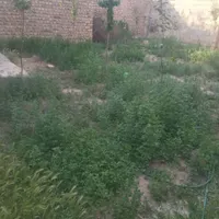 خانه ویلایی ۲۳۰ متر|فروش خانه و ویلا|تهران, امامزاده حسن(ع)|دیوار