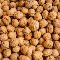گردو کاغذی درجه یک|خوردنی و آشامیدنی|انگوت, |دیوار