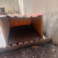 لانه حیوانات خانگی