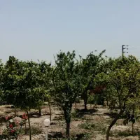 باغ ویلا مجتمعی دارای نگهبان در پایین ده|فروش خانه و ویلا|مشهد, میان ولایت|دیوار