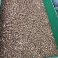 فروش کود کرمملورم|گل و گیاه طبیعی|شیراز, علی آباد|دیوار