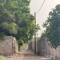 فروش زمین در محیاباد