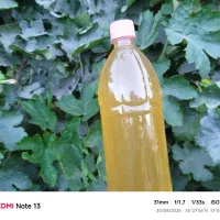 آبغوره طبیعی|خوردنی و آشامیدنی|رباطکریم, رباطکریم|دیوار