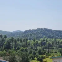 پیش-فروش-تکواحدی-گلستان