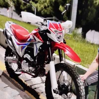 تریل 250نیوفیس