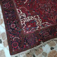 فرش|فرش|عجب شیر, |دیوار