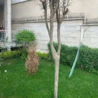 600متر-بنای-مجزاا-در-800متر-زمین-زعفرانیه