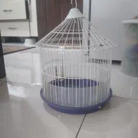 قفس گرد