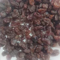 کشمش انگور مشگین شهر