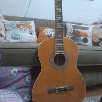 گیتار کلاسیک|گیتار، بیس، امپلیفایر|قدس, شهرقدس|دیوار