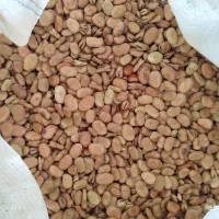 باقلا|عمدهفروشی|سرخنکلاته, |دیوار