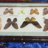 تابلو|تابلو، نقاشی، عکس|تهران, ولنجک|دیوار