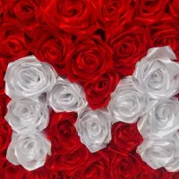 گل ربانی ویژه