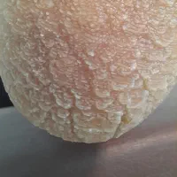 خدمات تخصصی کفسابی و اپیلاسیون آموزش تخصصی صفرتاصد