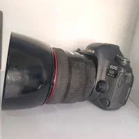 6dmii + 85 mm1/2
