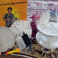 دستگاه جوجه کشی خانگی