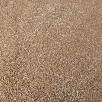 بذر گندم درجه یک|عمده‌فروشی|قیدار, |دیوار