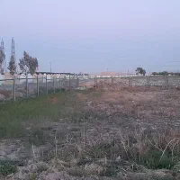 باغ-وباغچه
