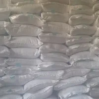 بذر گندم پیشگام گواهی شده شرکتی