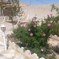 معاوضه مشهد با ملک در استان گیلان