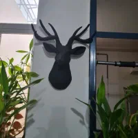 اکسسوری و تزئینات خانه