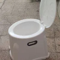 توالد فرنگی  در حد نو