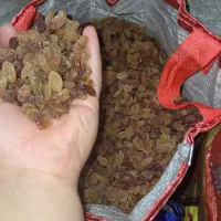 ده کیلو کشمش پلویی  درجه یک کیلویی ۳۰۰