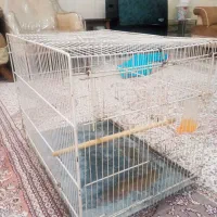 قفس پرنده عروس هلندی