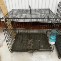 قفس و لوازم