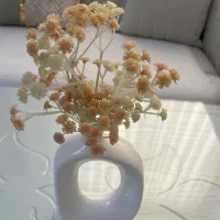 گل و گلدان سرامیکی|گل مصنوعی|ملارد, |دیوار