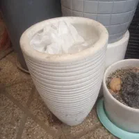 گلدون سفالی و گلدان پلاستیکی