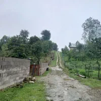 زمین-مسکونی-ماکلوان