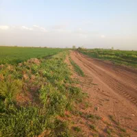 زمین کشاورزی|فروش زمین و ملک کلنگی|دشتابی, |دیوار