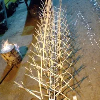 حفاظ شاخ گوزنی تولید وپخش|مصالح و تجهیزات ساختمان|تهران, دولتخواه جنوبی|دیوار