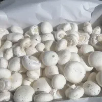 قارچ دکمه ای درجه یک|خوردنی و آشامیدنی|شیراز, شهرک صدا و سیما|دیوار