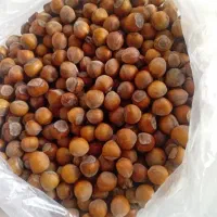 فندوق اهر