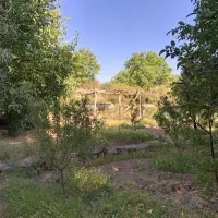 زمین باغ  ۶۵۰ متری فروشی در روستای کشه رایان نطنز|فروش زمین و ملک کلنگی|اصفهان, شهرستان|دیوار